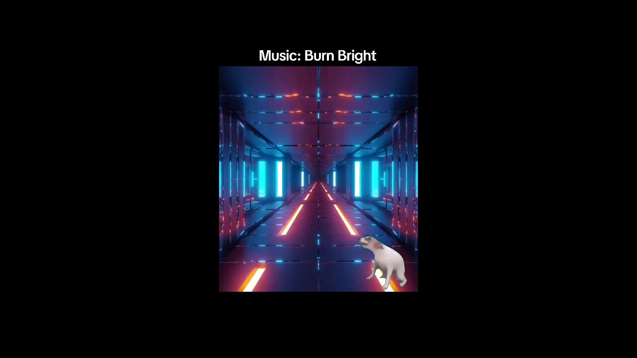 Music: Burn Bright