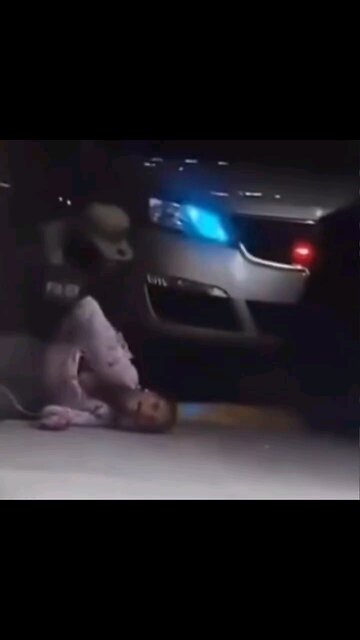 TikTok user busted by ICE