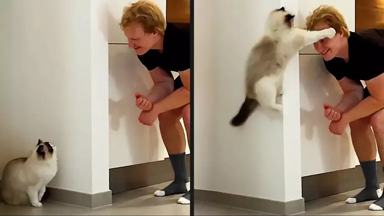 He Did NOT See This Coming - Your Daily Dose of Pets