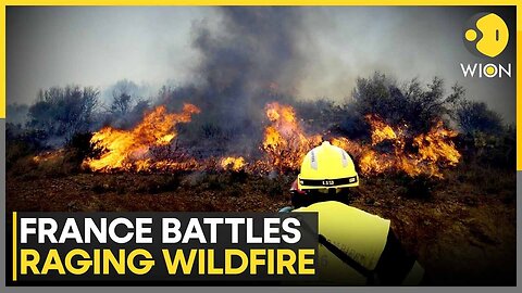 Europe Faces First Major Heatwave of 2025 as Rising Temperatures Fuel Wildfires in France | WION