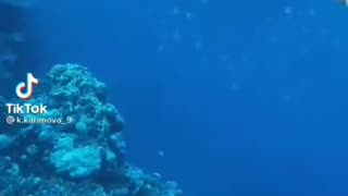 Future of Beauty 😍✨🔥