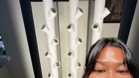 Discover the future of home gardening
