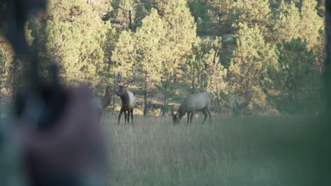 Brantley Gilbert's INTENSE ELK HUNT in Montana w⁄ Lee and Tiffany Lakosky