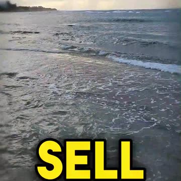 Elevate Your Content Game