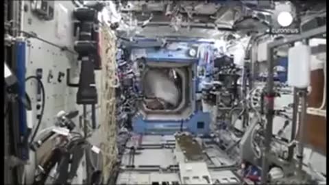 😂🐒 Astronaut Mark Kelly's Gorilla Suit Secret! | FunFM