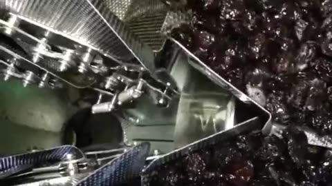 Prunes Packaging Services | High Tek USA - 10 Head STANDARD WEIGHER | Food Packaging Vacuum Machine
