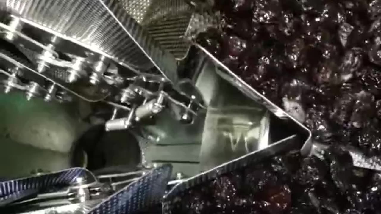 Prunes Packaging Services | High Tek USA - 10 Head STANDARD WEIGHER | Food Packaging Vacuum Machine