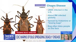 The CDC is sounding the alarm over a dangerous disease carried by the face-biting “kissing bug,”