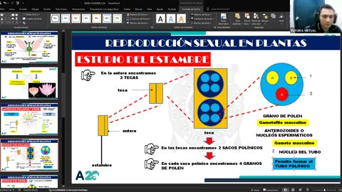 AULA 20 REGULAR 2025 - 1 | Semana 13 | Biología
