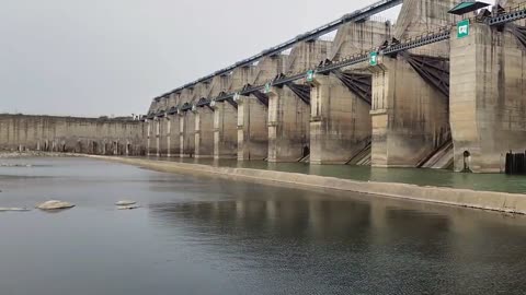 Dam nature