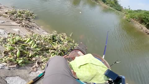 Lamprey Net Fishing in Cold River Springs
