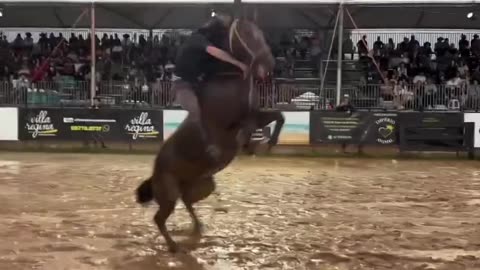 Horse backflip KO’s rider