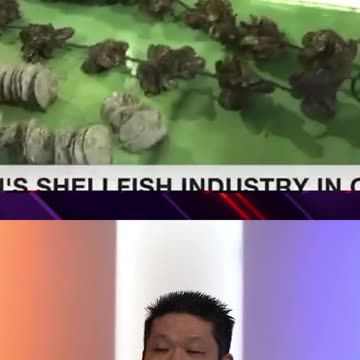 DISTURBING Discovery by Oyster Fishermen In Japan 😲😳😦