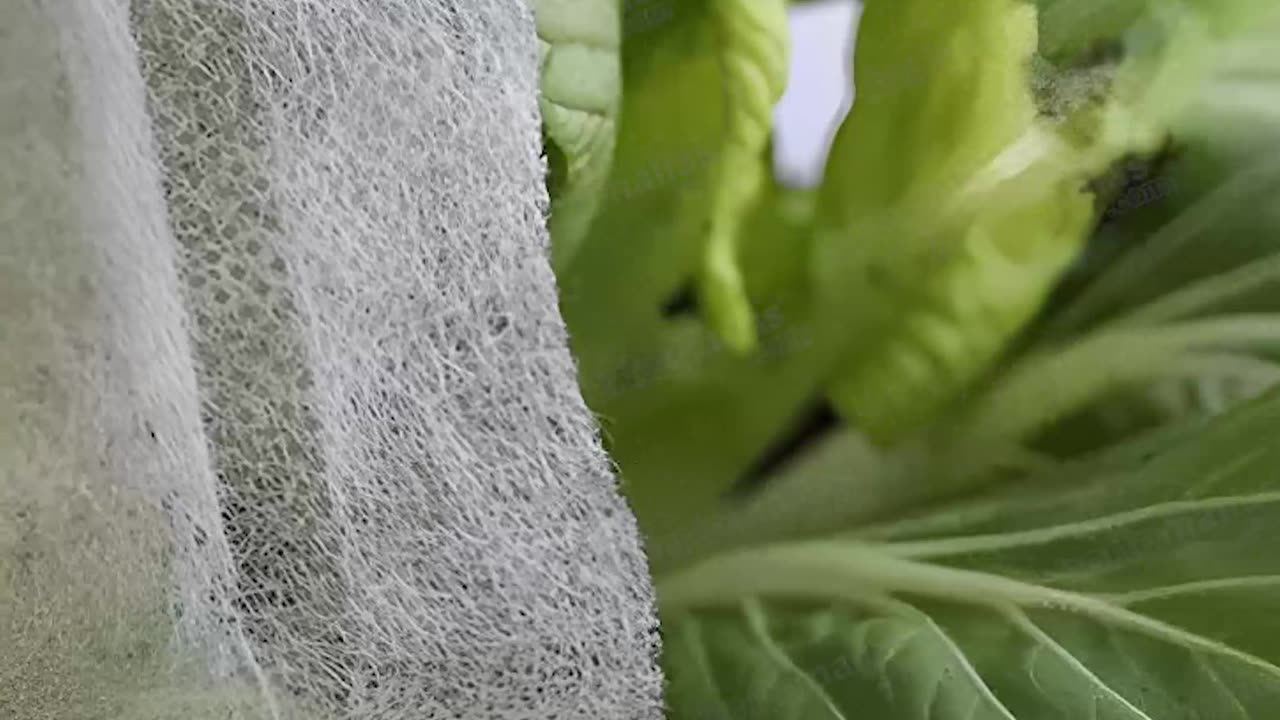 el Poder de las Mantas Térmicas Agrícolas