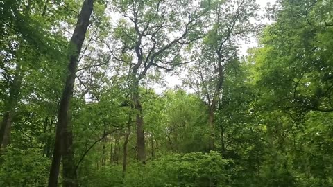 przecież Wszystko jest dobrze ...