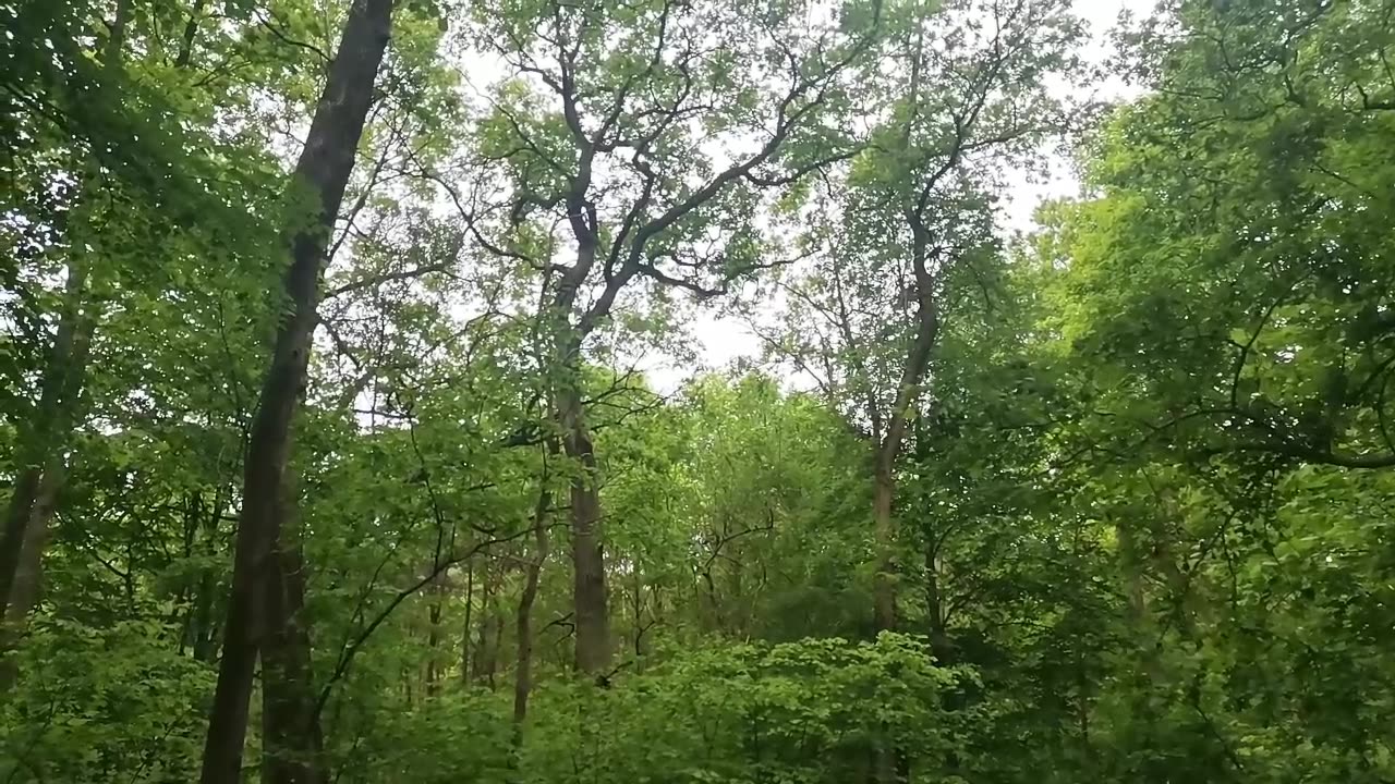 przecież Wszystko jest dobrze ...
