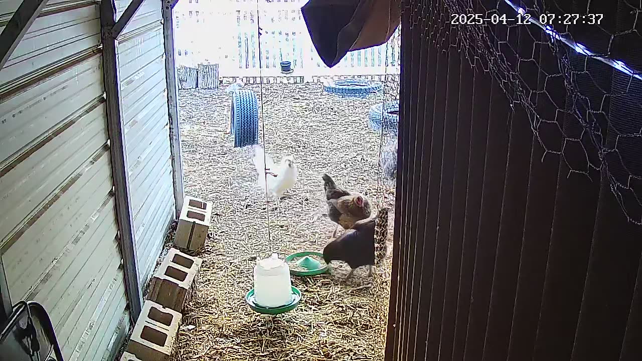 Happy Saturday Morning!