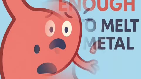 “Shocking Stomach Facts You Didn’t Know! (It Can Digest Itself?)”