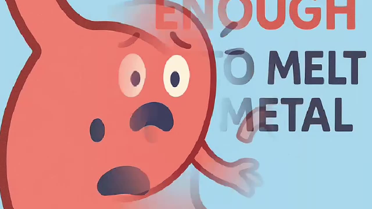 “Shocking Stomach Facts You Didn’t Know! (It Can Digest Itself?)”