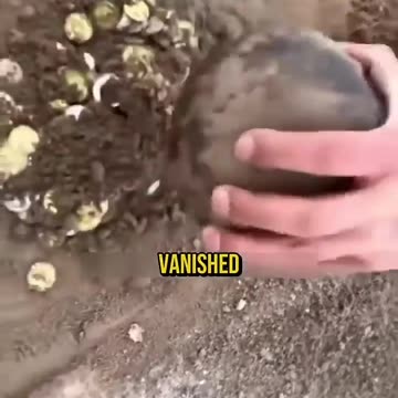 A mysterious object from the past was unearthed in