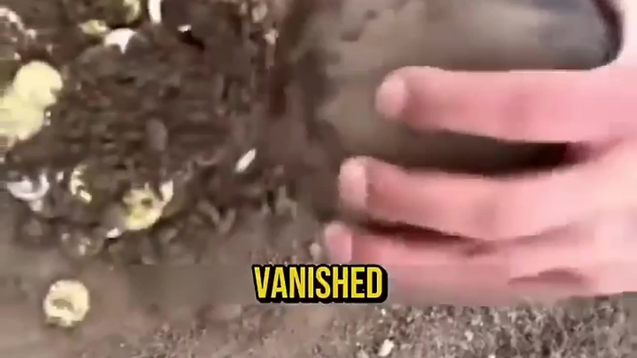 A mysterious object from the past was unearthed in