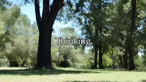 How to Stop Overthinking and Start Living