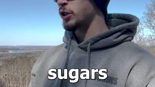 Sugars & Carbs