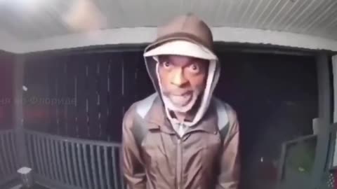 Neighbor Came to Say Merry Christmas… 😂