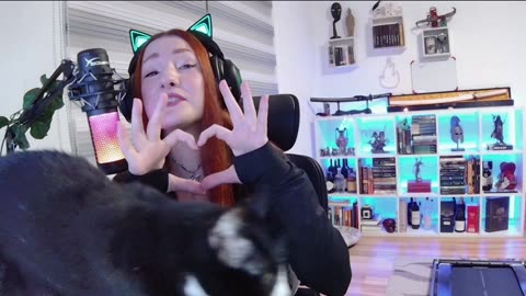 Cat check & fit check!