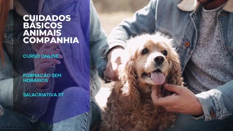 Cuidados Básicos Animais Companhia