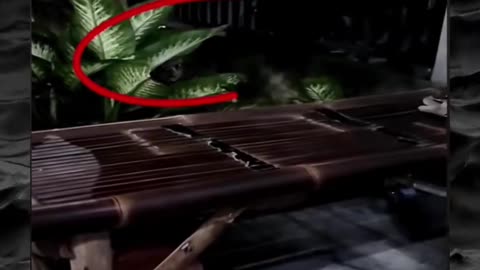 😱👻 The Creepiest Paranormal Video You'll Ever See! Creepy Paranormal Videos | TheHauntingHour