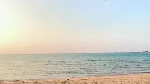 Savoring the Ocean Breeze: Eating at the Beach"