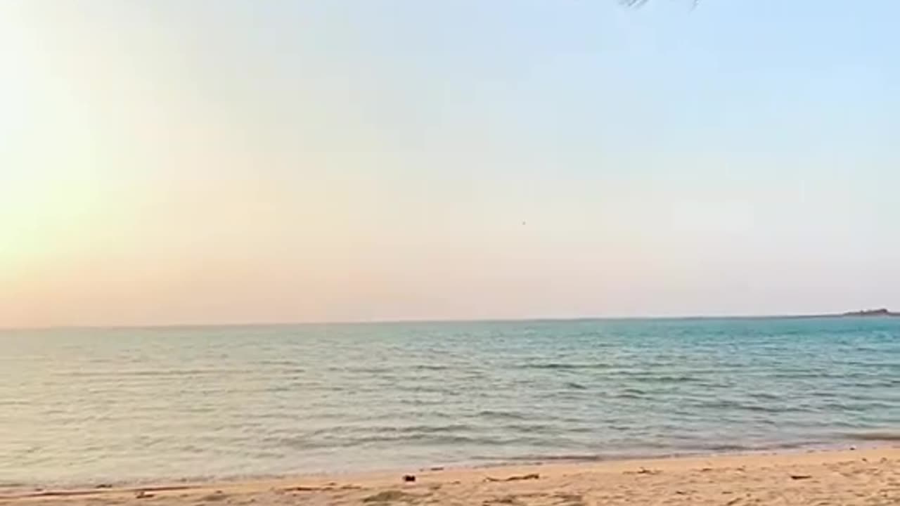Savoring the Ocean Breeze: Eating at the Beach"