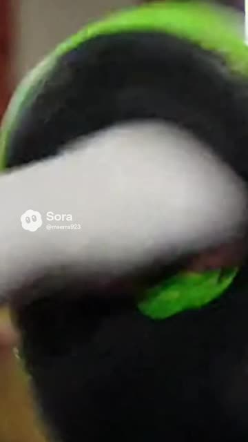 Haywood Jablowme Boxing