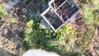 💥 FPV drones are in DENAZIFICATION action