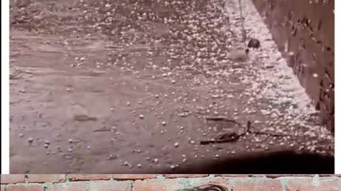 Mere dost yah bezubaan donon ka Kya Kasoor Hai log swarth Bhar rakhte Hain