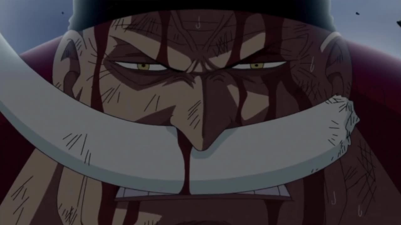 The ONE PIECE is REAL !!