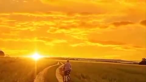 Golden sunshine