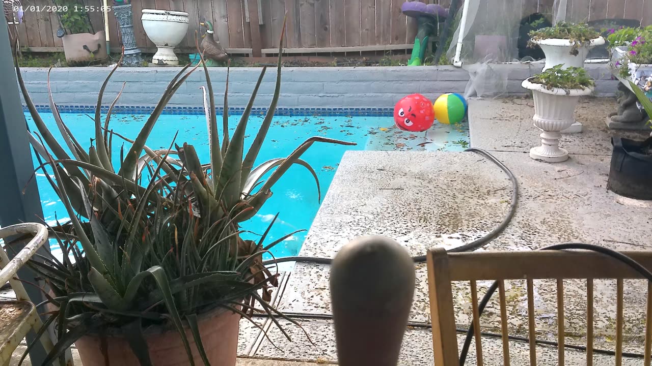 Bailee McInerny VS> The dreaded POOL SKIMMER