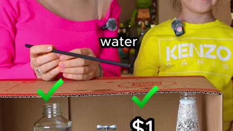$1 Water vs $500 Water – Blind Taste Test!