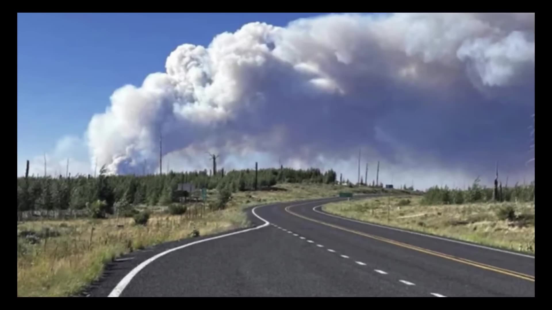 Strange Videos That Left Me Gasping!!