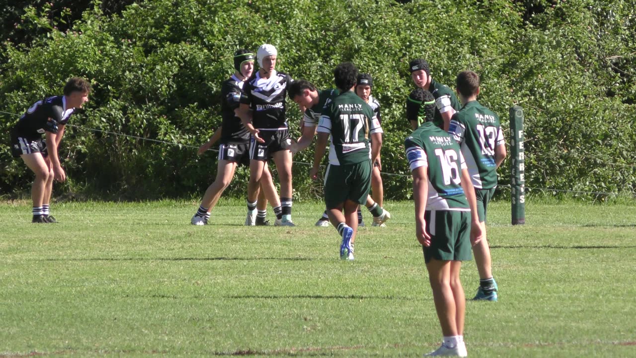 Forestville v Narrabeen