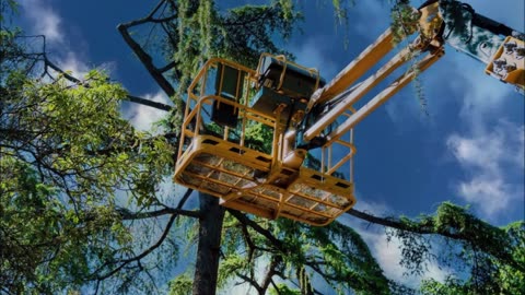 Manny's Lawn & Tree Service