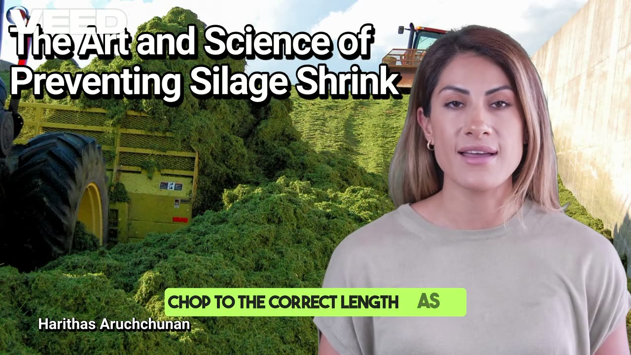 Seal It or Lose It :The Art and Science of Preventing Silage Shrink
