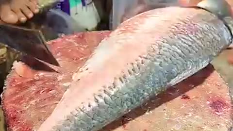 Amazing Delicious Hilsa Fish Cutting Skills In Bangladesh Local Fish Market