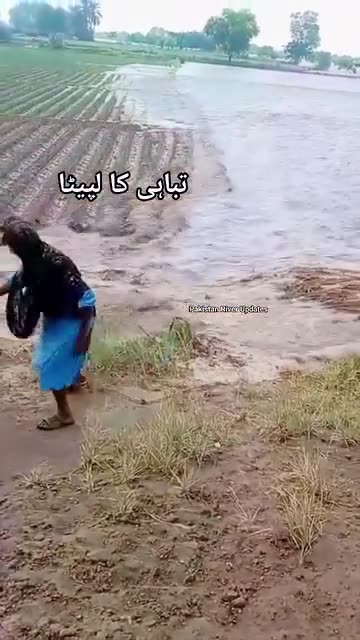 پنجاب کے دریاؤں کی تباہ کاریاں