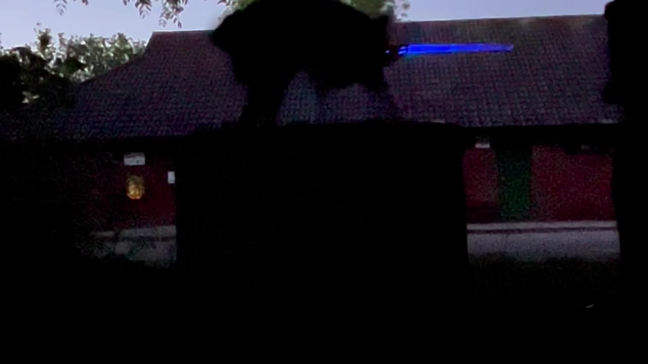 May the 4th Be With You!