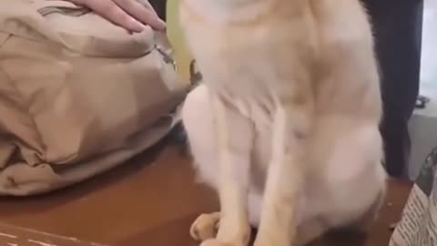 Funny