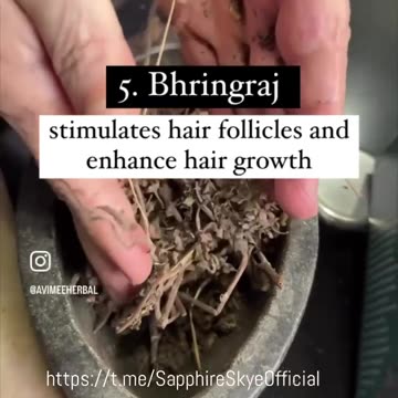 5 HERBS THAT GROW HAIR BACK