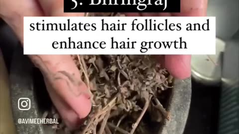 5 HERBS THAT GROW HAIR BACK